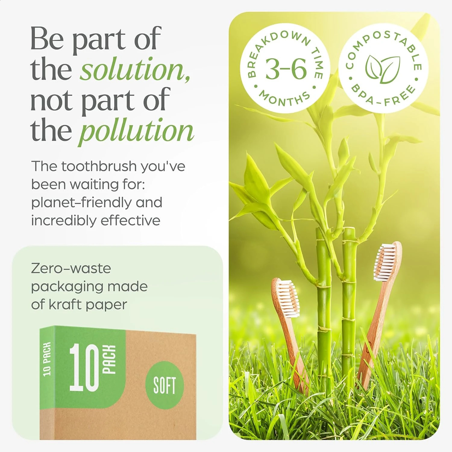 Biodegradable bamboo toothbrush 10 packs environmentally friendly compostable natural wooden toothbrush 250206