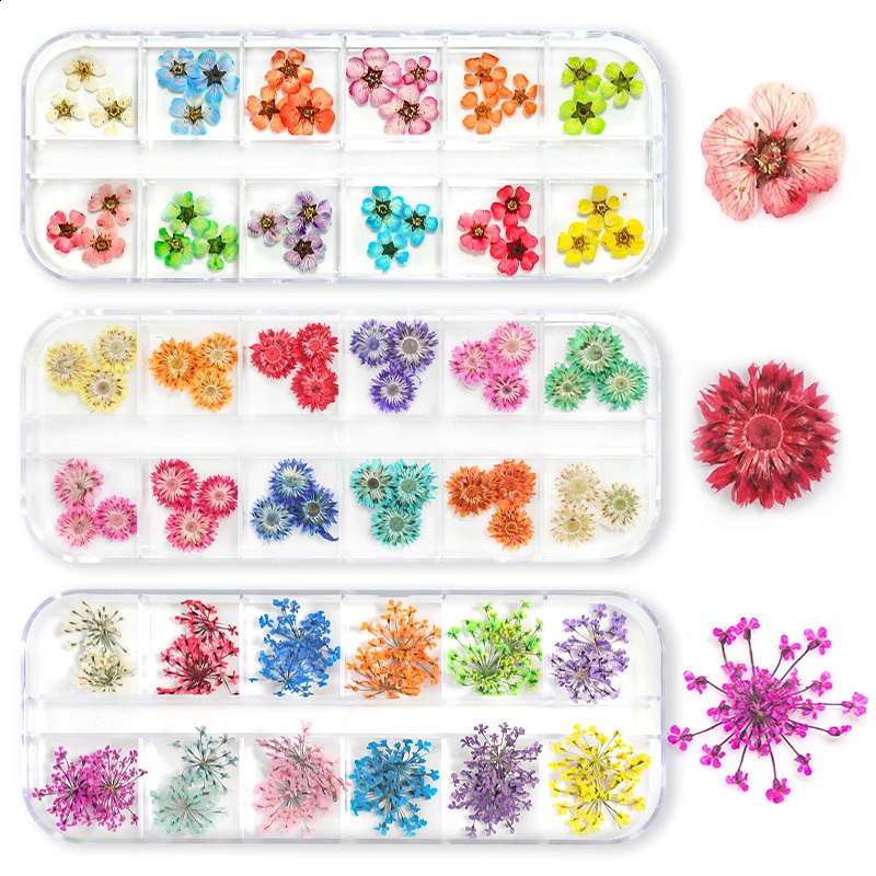 12 Grids 3D Dried Flowers Nail Art Decoration Decals Natural Floral Sticker ns Dry Flower DIY Manicure Accessories 250115