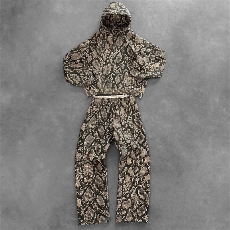 Harajuku Y2K Tracksuit Men Hip Hop Oversized Hoodies 2 Piece Set Retro Snake Pattern Sweatshirts Clothes for Streetwear y250110