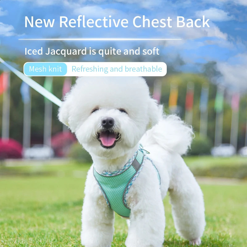 Dog Cat Harness Vest Chest Rope Set Reflective Breathable Adjustable Pet Harness for Small Medium Dogs Puppy Outdoor Walking 250206