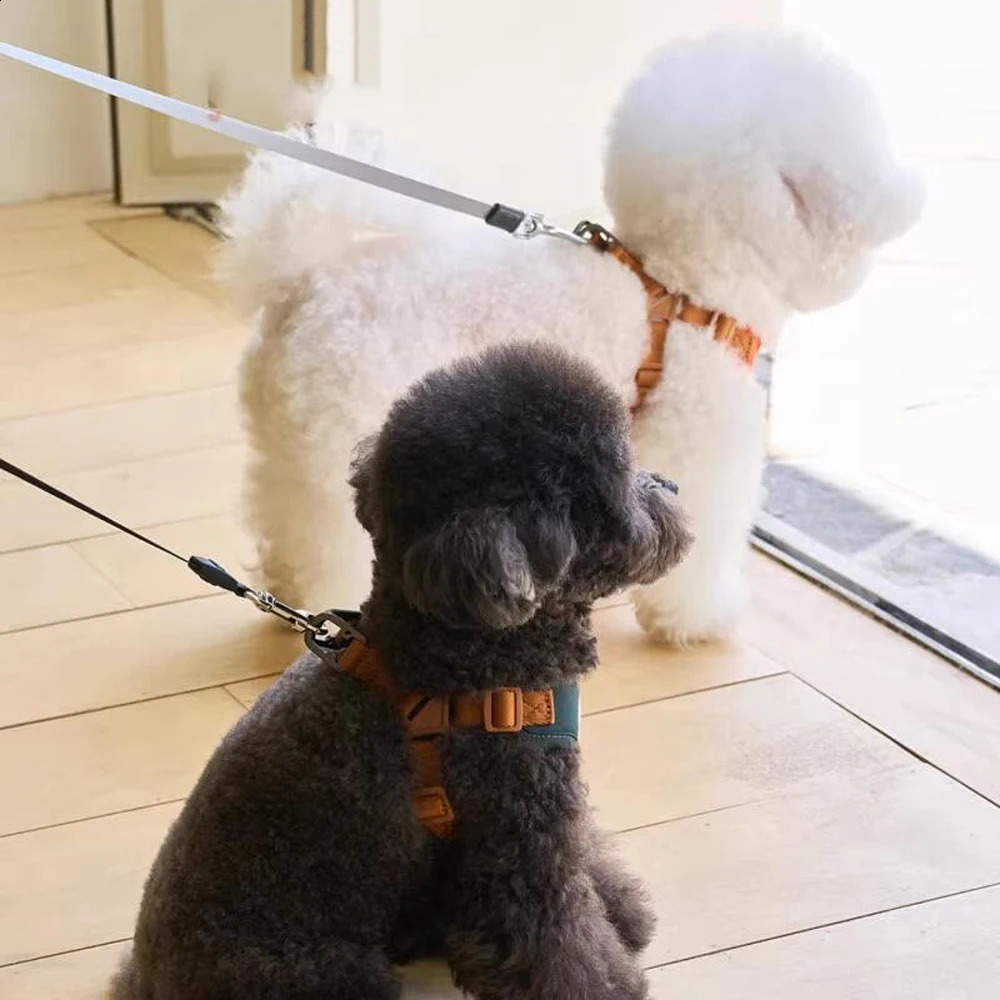 Cute Bear Pet Harness Leash Set Dog Vest Harness Strap Adjustable Breathable Harness for Puppy Cat Dog Supplies 250206