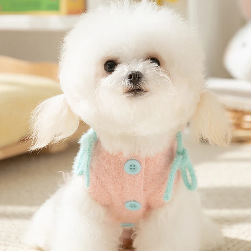 Autumn Winter Dog Warm Clothes Cute Letter Dog Sweater Pet Hoodie Sweater Chihuahua Bichon Costume Puppy Pullover Cat Dog Coat 250206