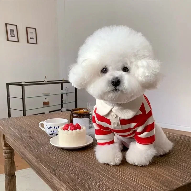 Dog Clothes Schnauzer Teddy York Shire Polo Shirt Summer Dress Striped Pet T-Shirt Dog Costume Soft Pullover Suit for Dog Puppy 250206