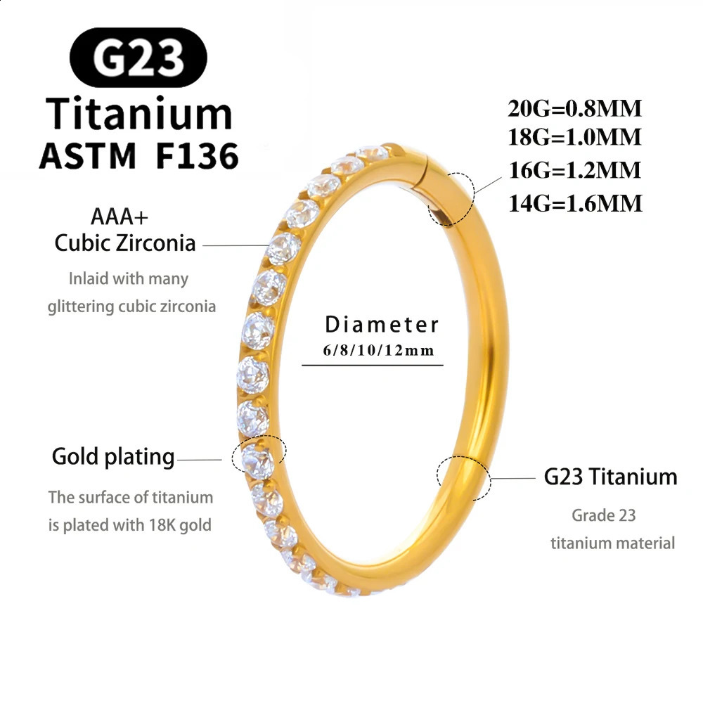 10PCS G23 Lip Hinged Earrings Hoop Round Tragus Cartilage Helix Segment Ear Nose Ring Body Piercing Jewelry 250207