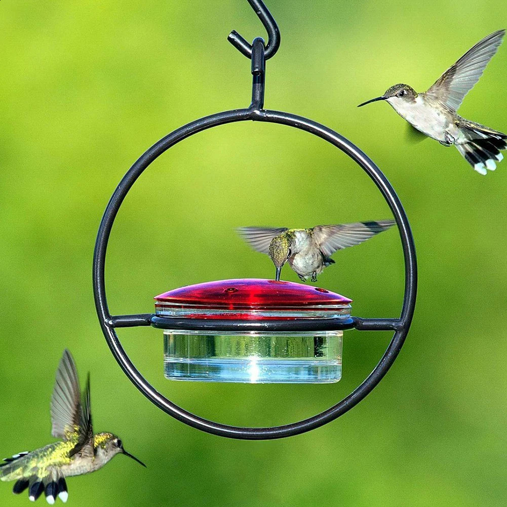 Hummingbird Drinker Feeder with Red Glass Bowl Outdoor Humming Bird Feeder Attract Birds for Outside Garden Backyard Patio Deck 250121