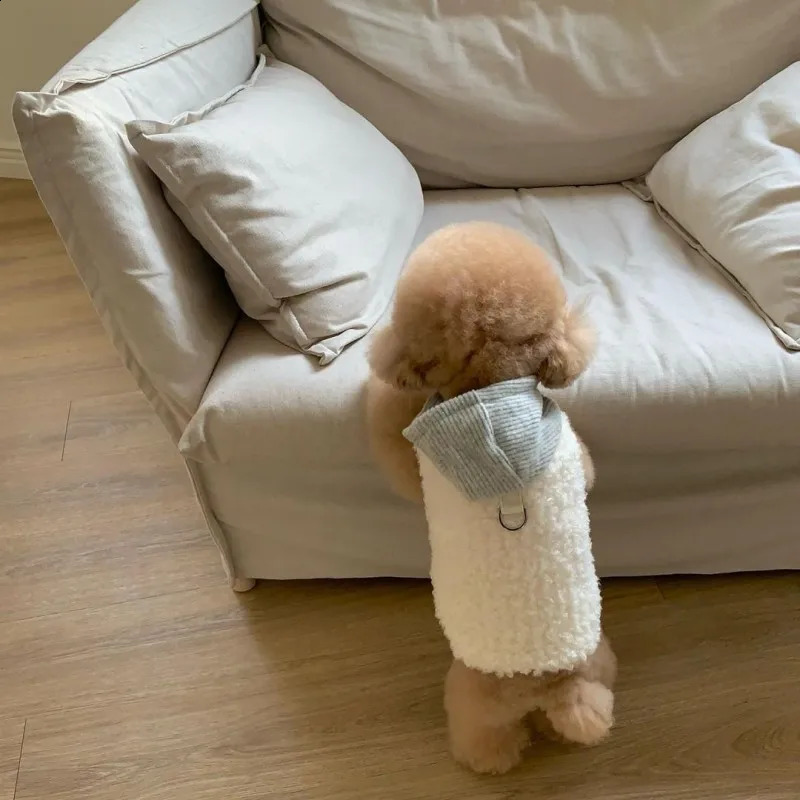 Winter Dog Coat Puppy Warm Clothes Fleece Dog Vest Jacket Chihuahua French Bulldog Bichon Clothing Pet Hoodies Dog Costume 250206