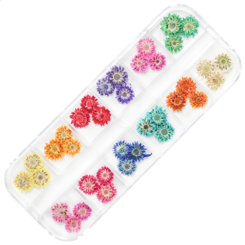 12 Grids 3D Dried Flowers Nail Art Decoration Decals Natural Floral Sticker ns Dry Flower DIY Manicure Accessories 250115