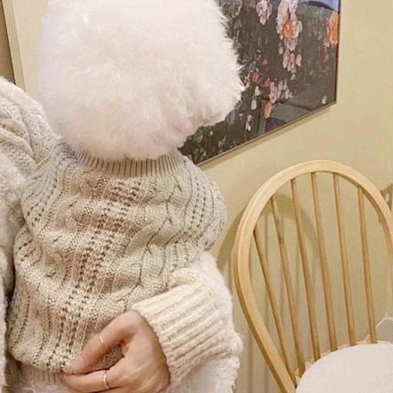 Winter Dog Knitted Sweater Fashion Solid Dog Clothes Warm Puppy Pullovers Cute Cat Turtleneck Pet Sweater Bichon Frise Clothes 250206