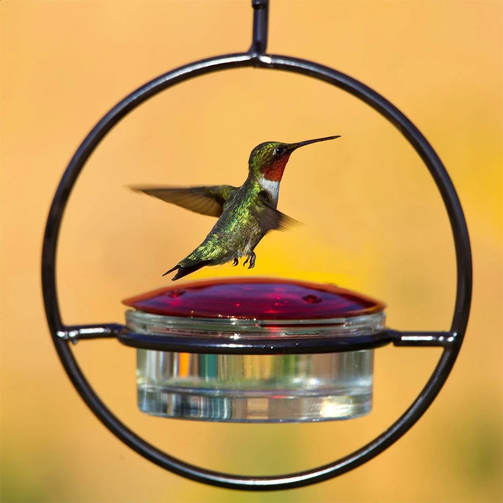 Hummingbird Drinker Feeder with Red Glass Bowl Outdoor Humming Bird Feeder Attract Birds for Outside Garden Backyard Patio Deck 250121