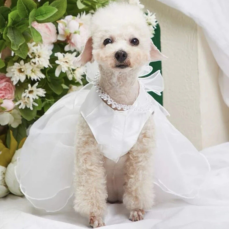 White Dog Wedding Dress Bridal Wedding Costume Puppy Princess Dresses for Small Dogs Dog Clothes Pomeranian Chihuahua 250206
