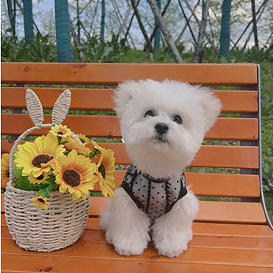 Dog Skirts Lace Pet Dresses Princess Dress Summer Dog Dresses Teddy Dog Vest Dress Cat Dress Chihuahua Pet Clothing 250206