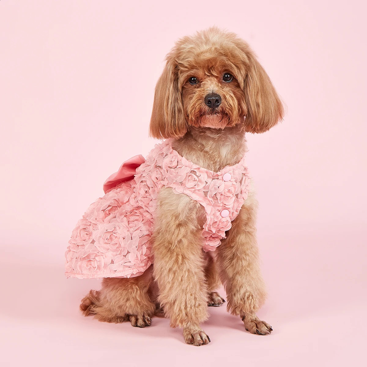 Dog Princess Dress Embroidered Flower Pet Pink Bowknot Princess Clothes Puppy Pet Spring Summer Dresses 250206