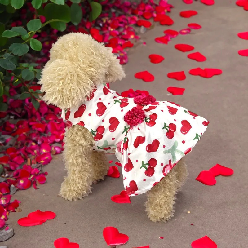 Pet Dog Clothes Valentines Day Dress for Dogs Clothing Cat Small Heart Print Spring Fashion Girl Chihuahua Pet Products 2024 250206