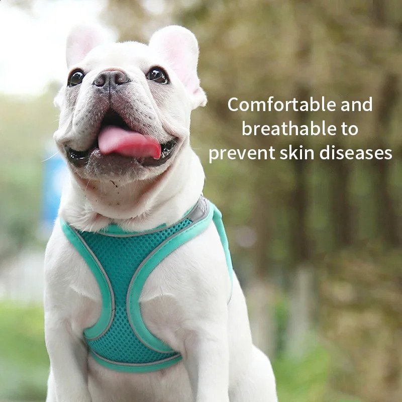 Dog Harness Leash Set for Small Dogs Adjustable Puppy Cat Harness Vest French Bulldog Chihuahua Pug Outdoor Walking Lead Leash 250206