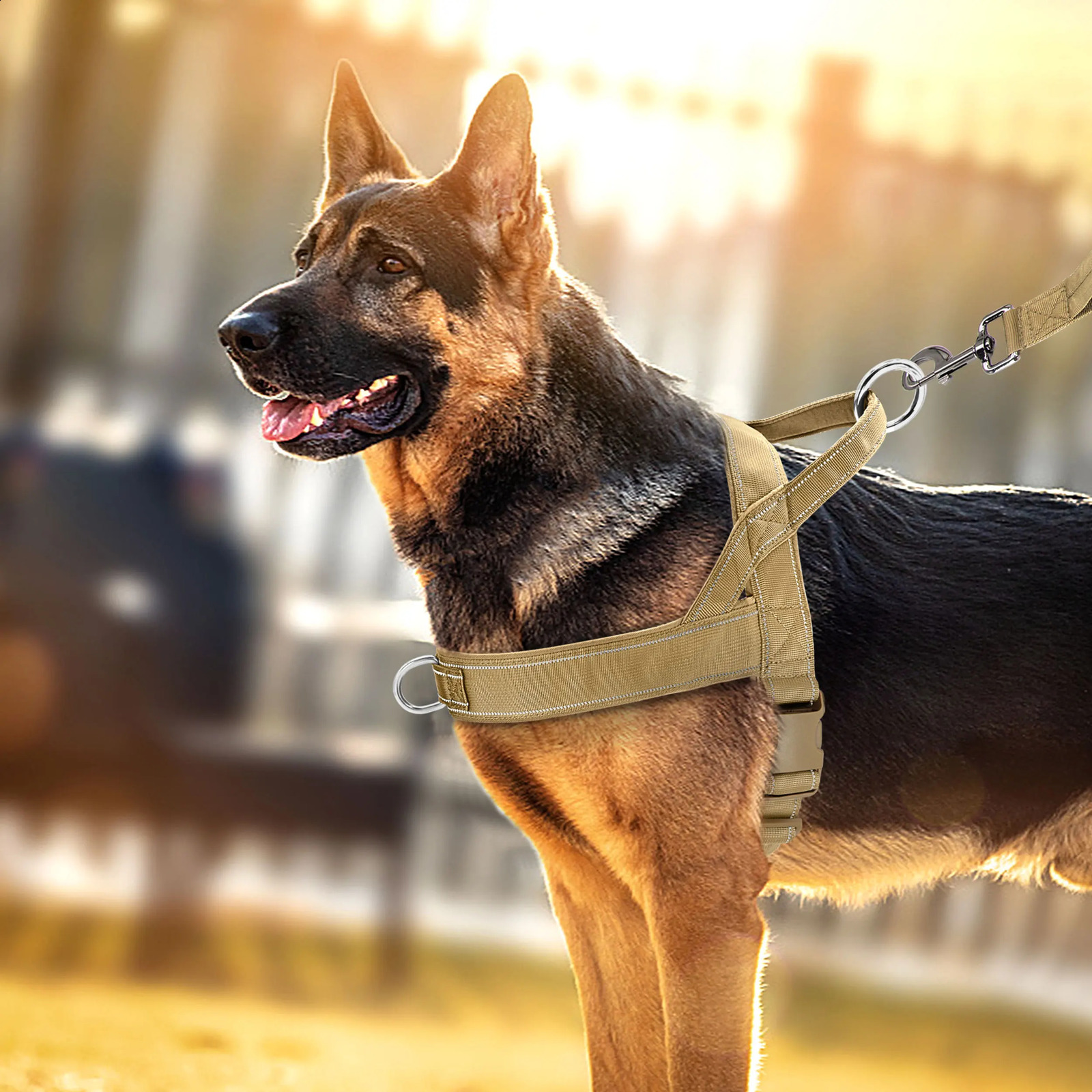 Nylon Durable Dog Harness No Pull Pet Harness with Handle Reflective Training Harness for Small Medium Large Dog German Shepherd 250206