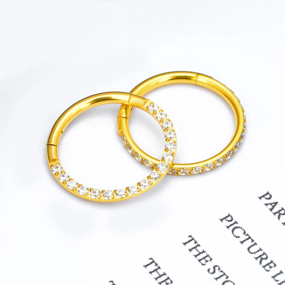 10PCS G23 Lip Hinged Earrings Hoop Round Tragus Cartilage Helix Segment Ear Nose Ring Body Piercing Jewelry 250207