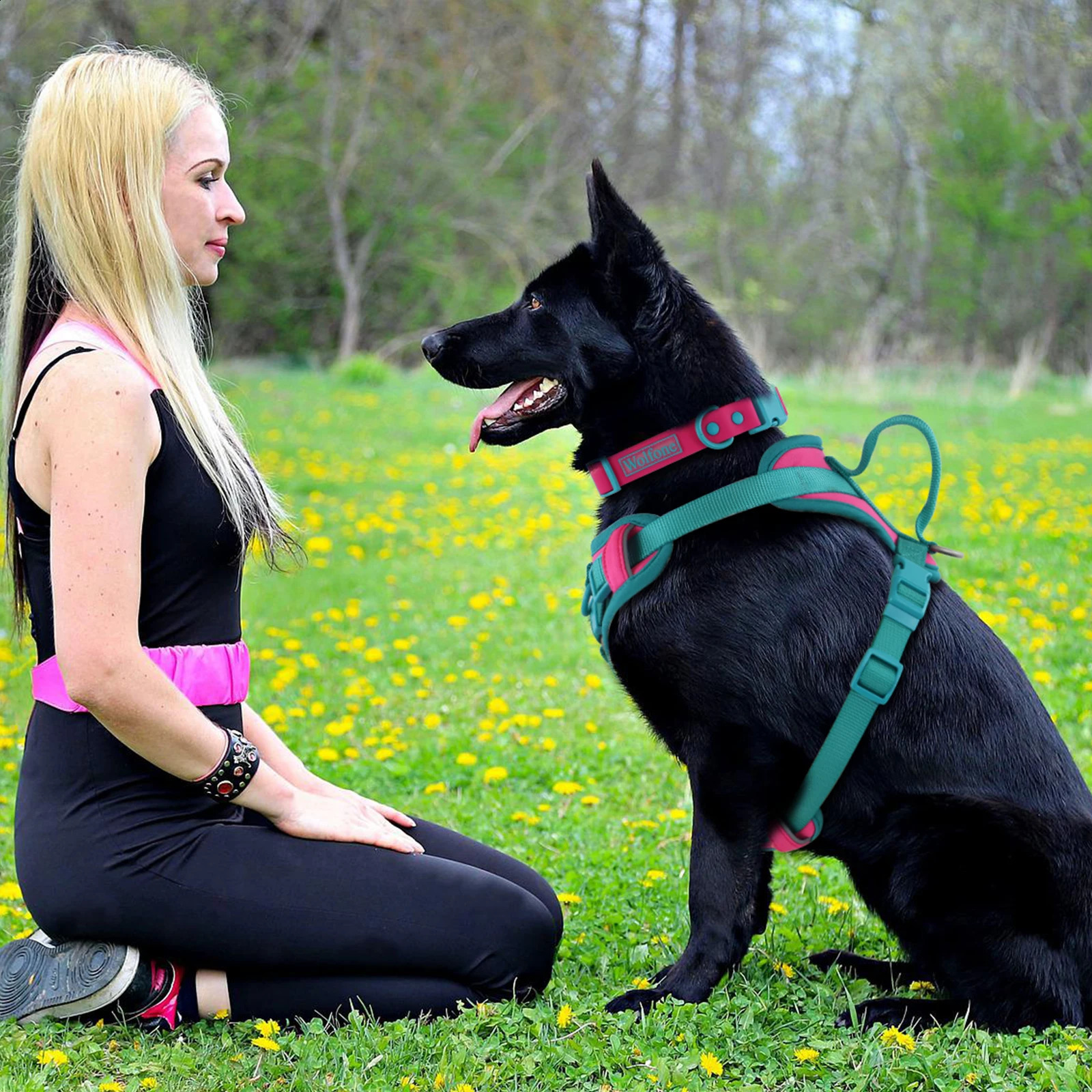 Splicing Colors Breathable For Medium No Pull Dog Harness for large Small dogs Adjustable Chest Strap Dog Harness Personalized 250206