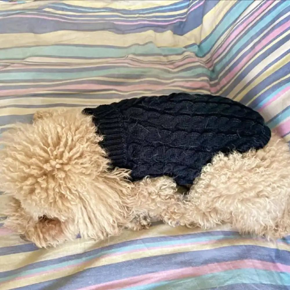 Pet Dog Knit Sweater For Small Dogs Cute Turtleneck Winter Sweater For Puppy Soft And Warm Coat Pet Dog Sweater 250206