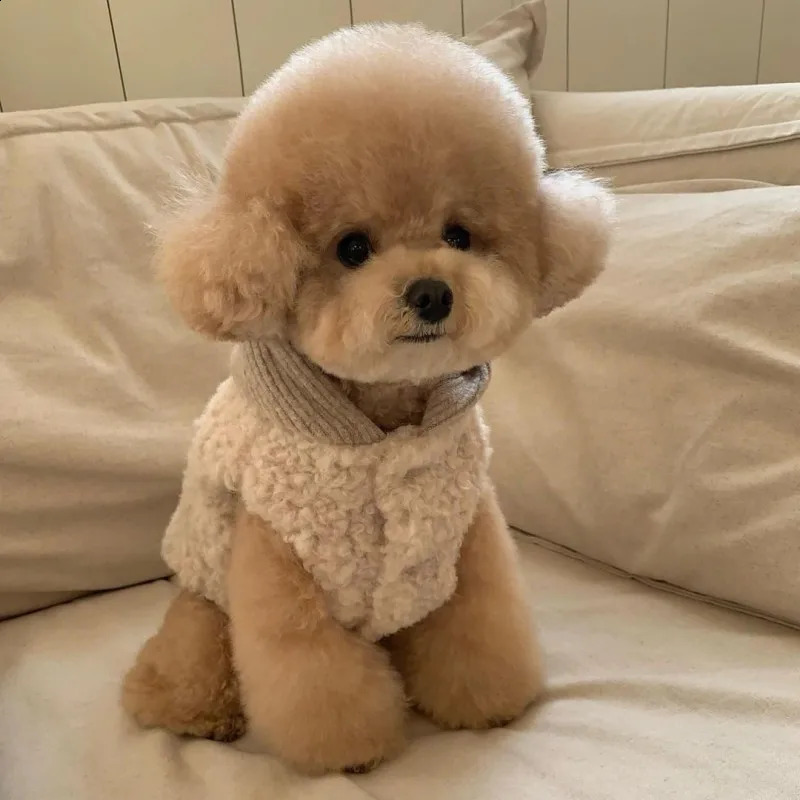 Winter Dog Coat Puppy Warm Clothes Fleece Dog Vest Jacket Chihuahua French Bulldog Bichon Clothing Pet Hoodies Dog Costume 250206