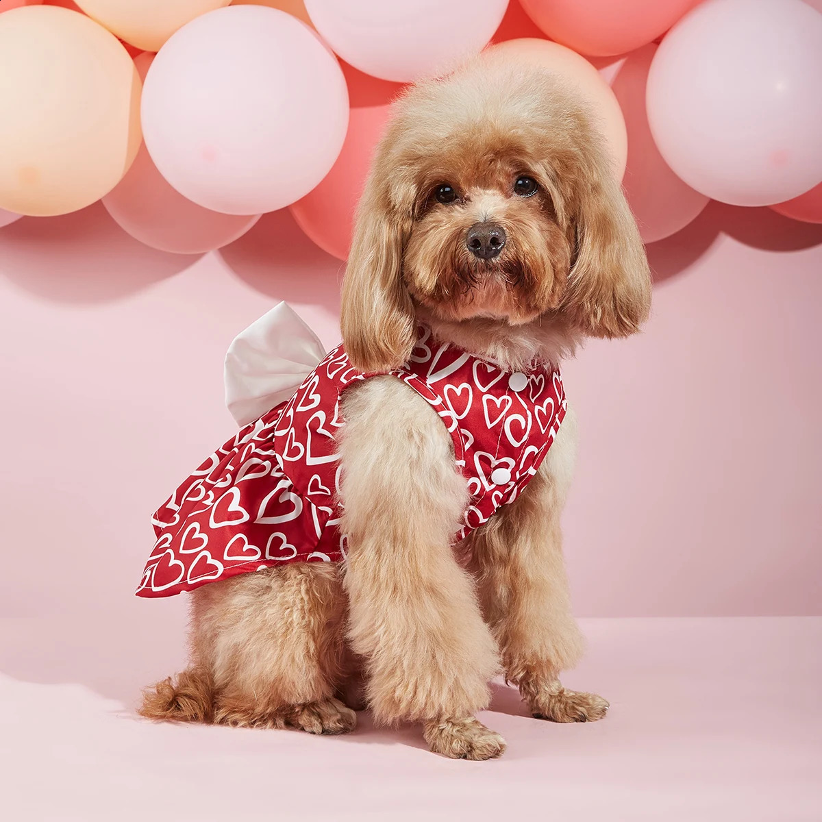 Valentines Day Pet Clothes Hearts Dog Valentines Outfit Bowknot Red Tulle Dog Dress with for Small Dogs Cat Girl 250206