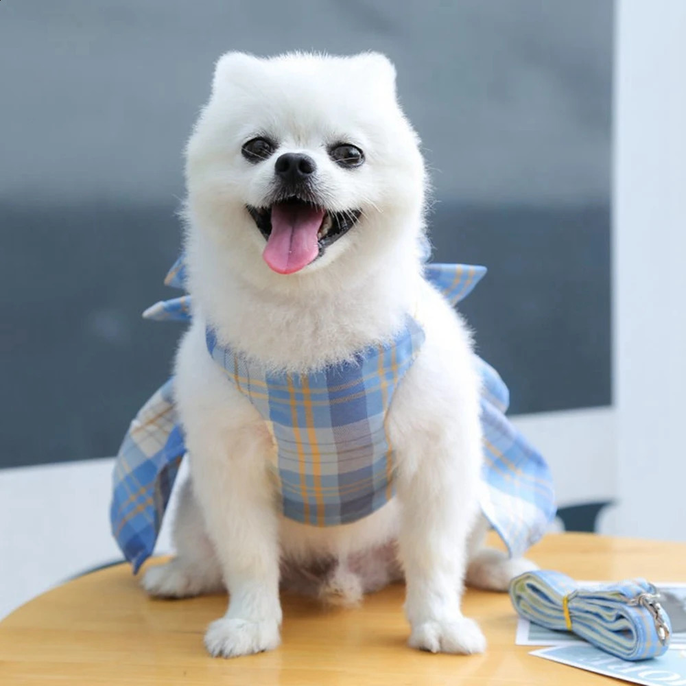 JK Dog Dress Harnesses with Leash Set Plaid Puppy Girl Skirt Doggy Dresses with Leash Ring Doggie Clothes for Small Medium Dogs 250206