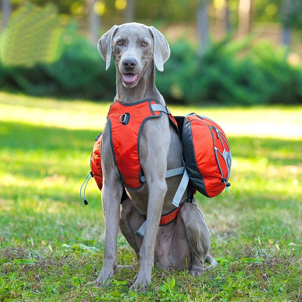 Walking Dog Backpack Harness Reflective Dogs Pack Hound Travel Camping Hiking Backpacks Saddle Bag with Removable Bags 250107