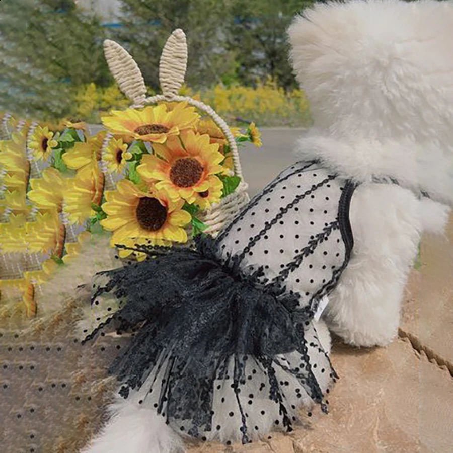 Dog Skirts Lace Pet Dresses Princess Dress Summer Dog Dresses Teddy Dog Vest Dress Cat Dress Chihuahua Pet Clothing 250206