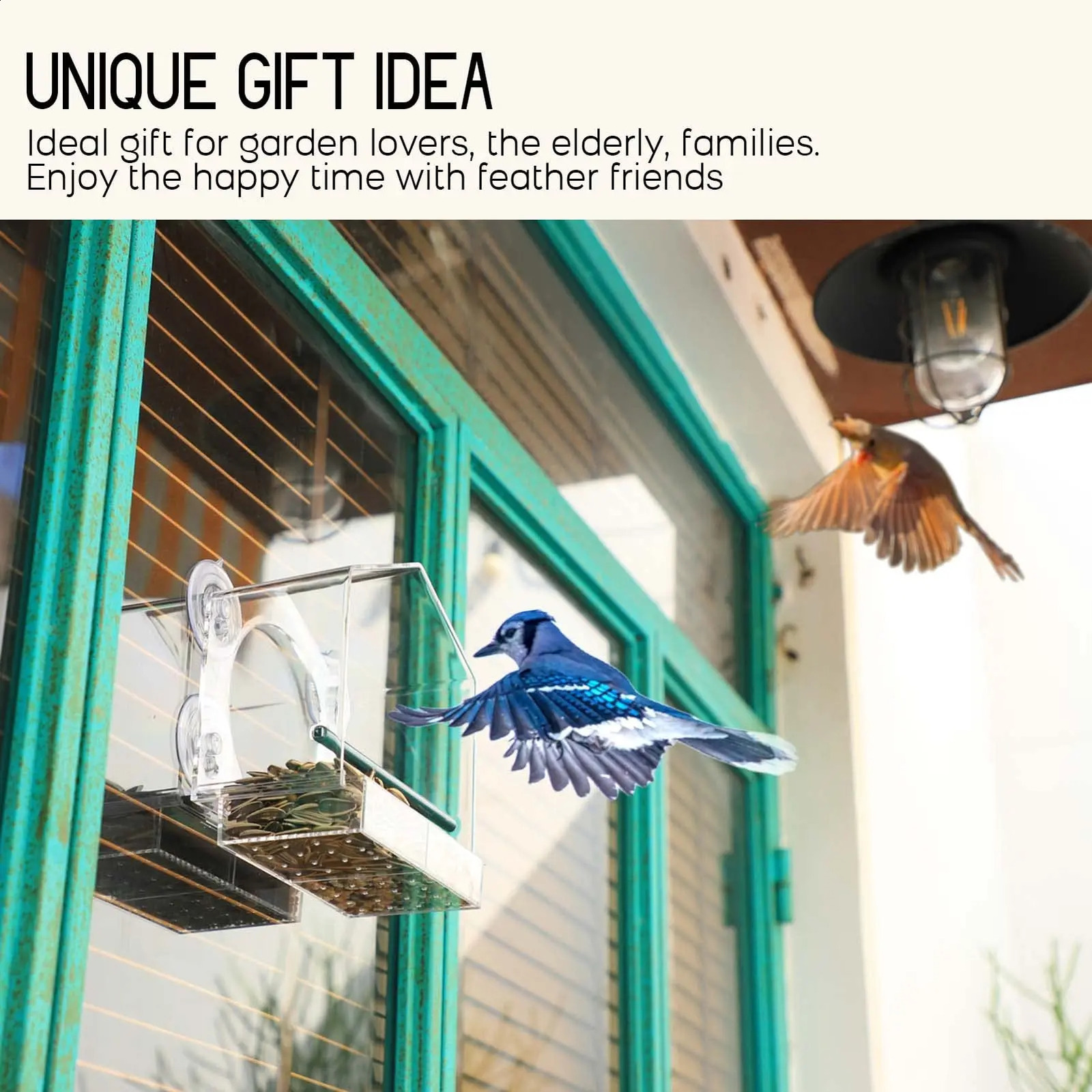 Window Bird Feeder Gram Reuse Tray House Shape Waterproof Transparent Squirrel Food Container Outdoor Suction Cup Installation 250121