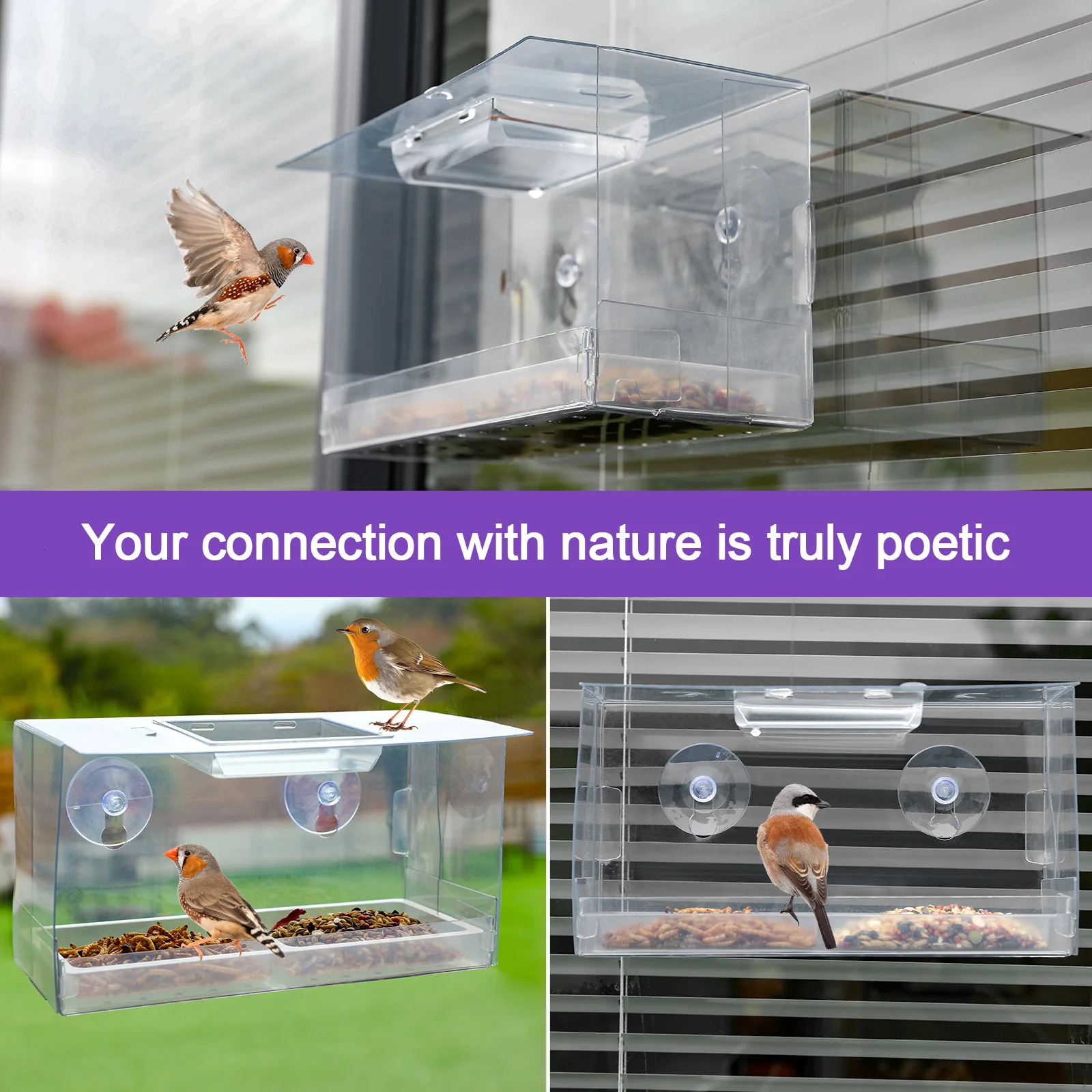Bird Feeder Window Mount Bird Watching Transparent Outside Birdhouse for Finches Chickadees Wild Birds Bluebird 250207