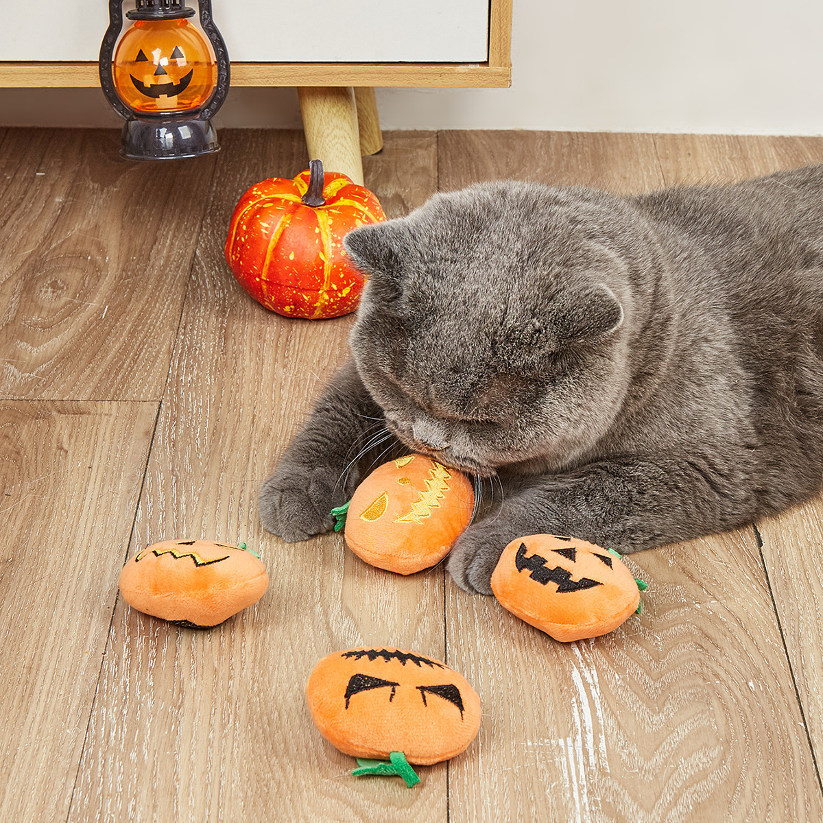10pc-Cat dog interactive squeaking Halloween pumpkin plush toy, filled toy with sound, non battery powered