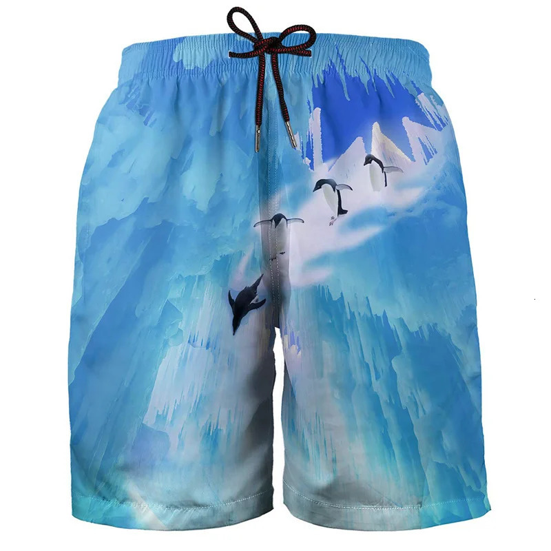 Hawaiian 3d Print Plants Beach Shorts For Men Boys Quick Dry Surf Board Bathing Suit Casual Summer Swimming Trunks 250208Z