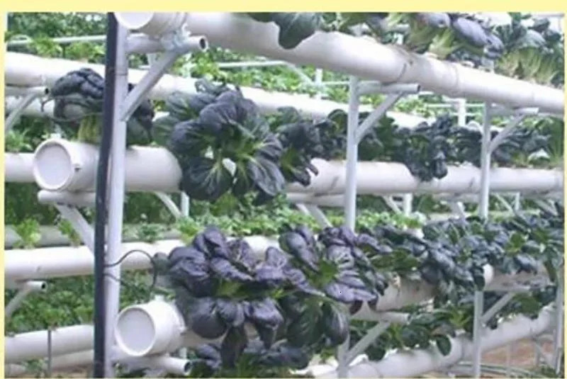 50Pcs Plant Grow Net Nursery Pots Cup Hydroponic colonization Mesh plastic Basket holder vegetable Planter Soilless greenhouse 250207