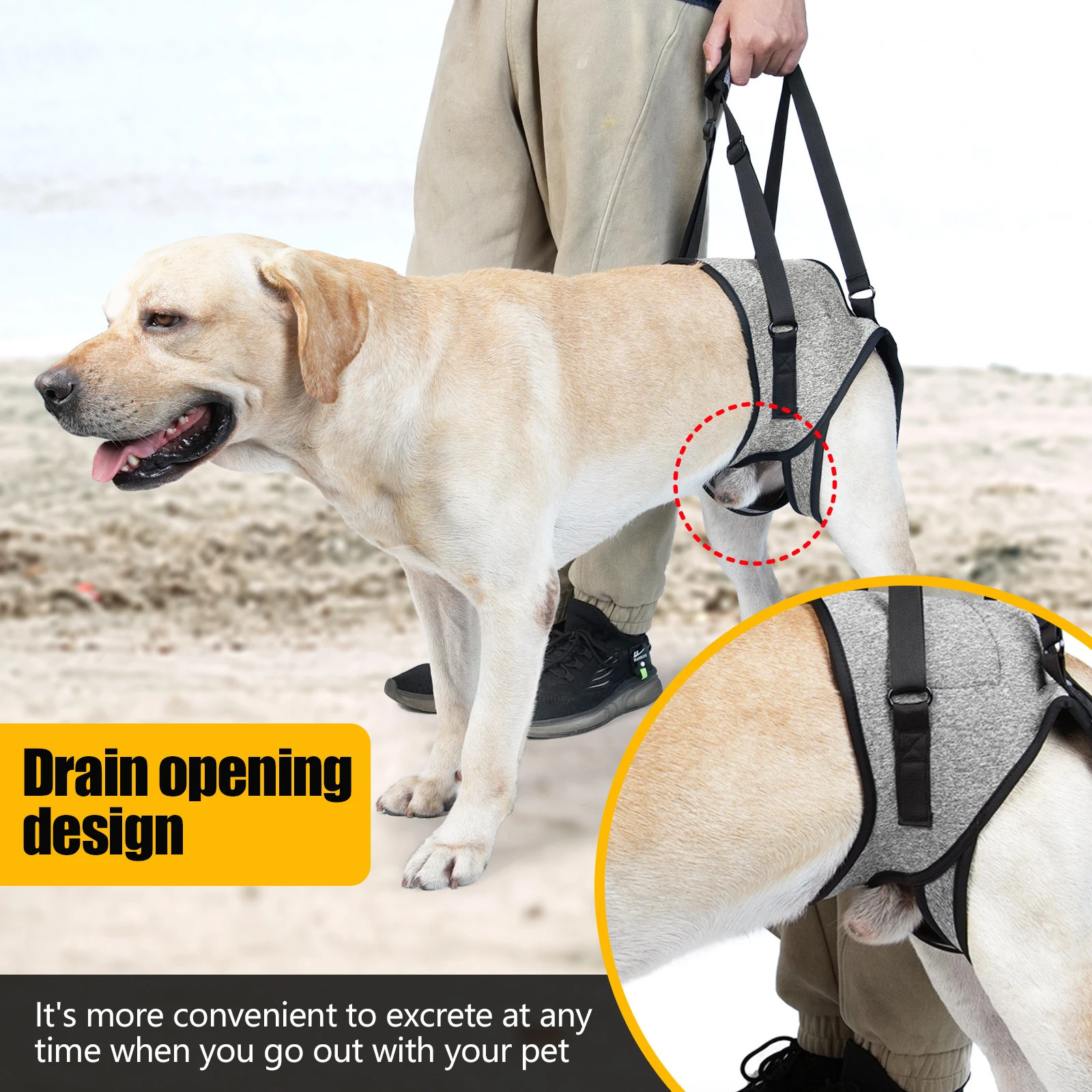 Dog Harness Support Brace For Leg Injury Protector Outdoor Walking Lead Leash Disability Pet Collar Handheld Padded 250107