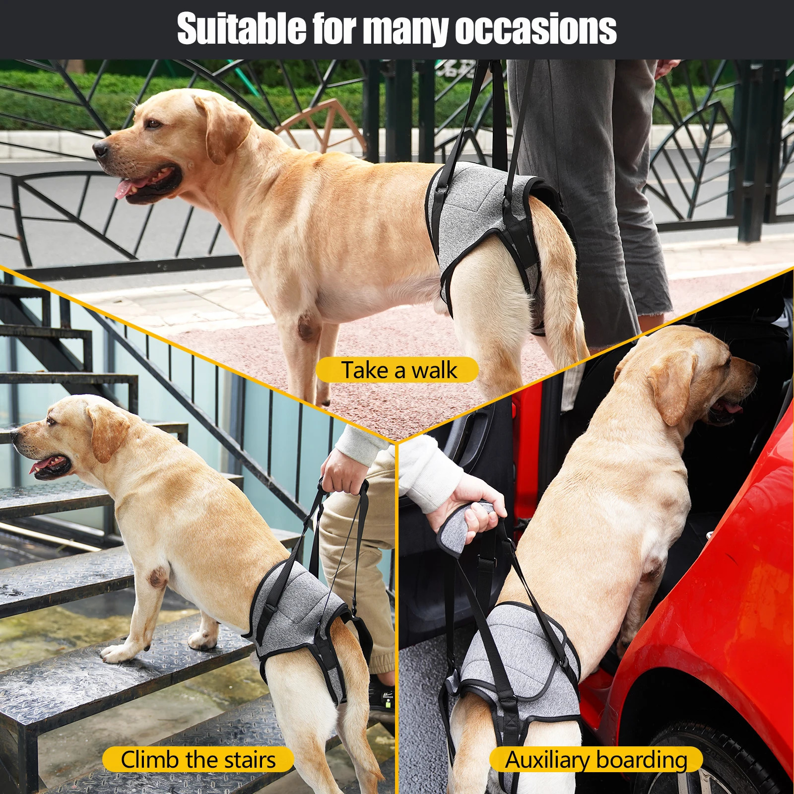 Dog Harness Support Brace For Leg Injury Protector Outdoor Walking Lead Leash Disability Pet Collar Handheld Padded 250107