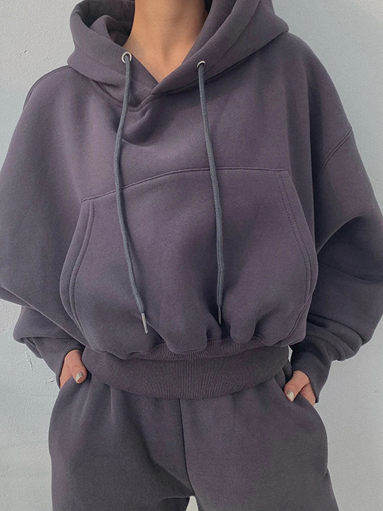 Hoodies Suit Winter Spring Solid Casual Tracksuit Women Fleece 2 Pieces Set Sports Sweatshirts Pullover Sweatpants Wholesale 250207