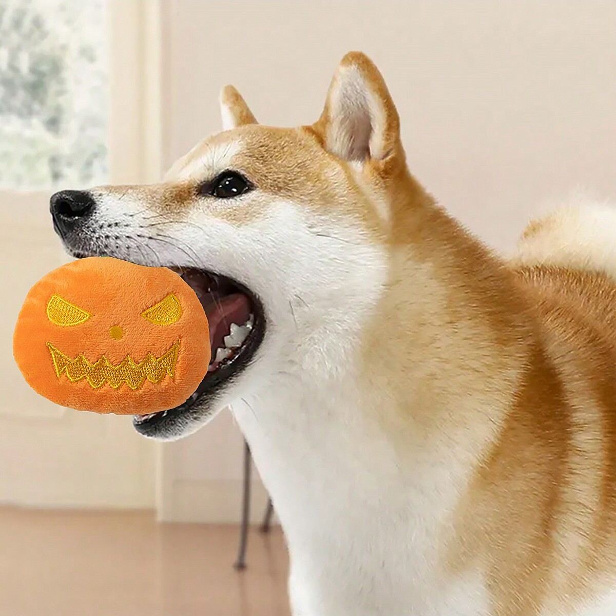 10pc-Cat dog interactive squeaking Halloween pumpkin plush toy, filled toy with sound, non battery powered