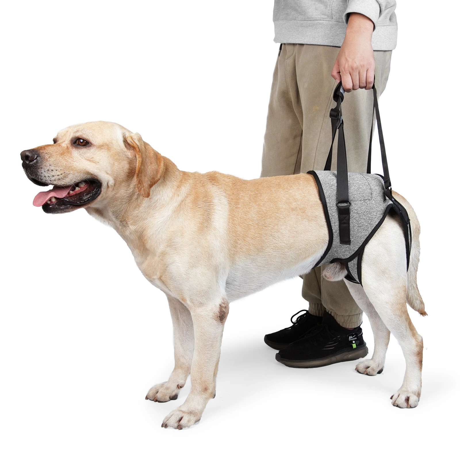 Dog Harness Support Brace For Leg Injury Protector Outdoor Walking Lead Leash Disability Pet Collar Handheld Padded 250107
