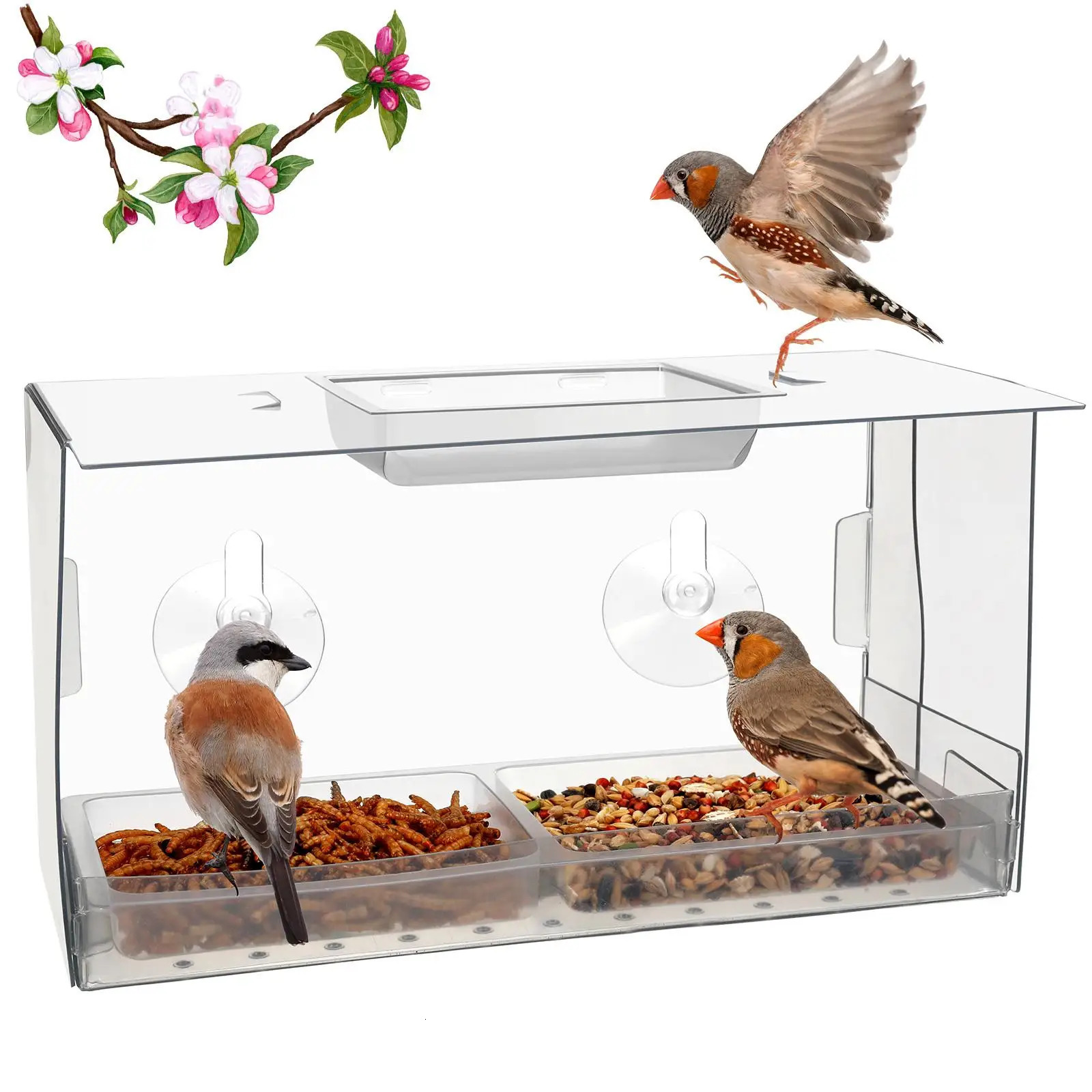 Bird Feeder Window Mount Bird Watching Transparent Outside Birdhouse for Finches Chickadees Wild Birds Bluebird 250207