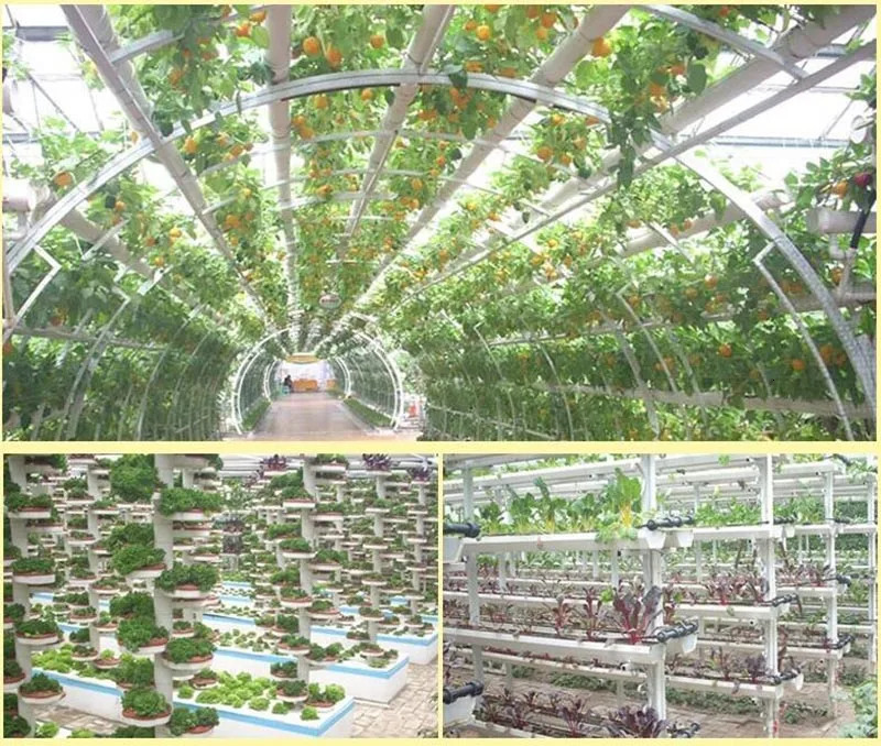 50Pcs Plant Grow Net Nursery Pots Cup Hydroponic colonization Mesh plastic Basket holder vegetable Planter Soilless greenhouse 250207