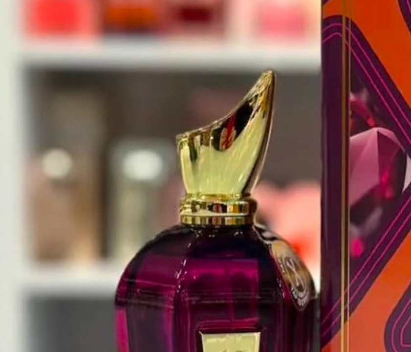 Top Xerjoff Perfume 100Ml Opera PURA 1 ERBA GOLD Accento Soprano Coro Fragrance Eau De Parfum Long Lasting Smell High Quality Cologne Spray Fast Deliv