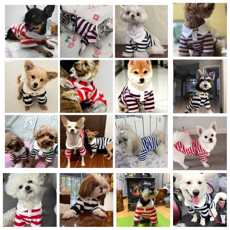Summer Polo Shirt for Dogs Puppy Clothes Bichon Frise Chihuahua Stripe Dog Sweatshirt Dog Cooling Vest for Small and Medium Dogs X250928