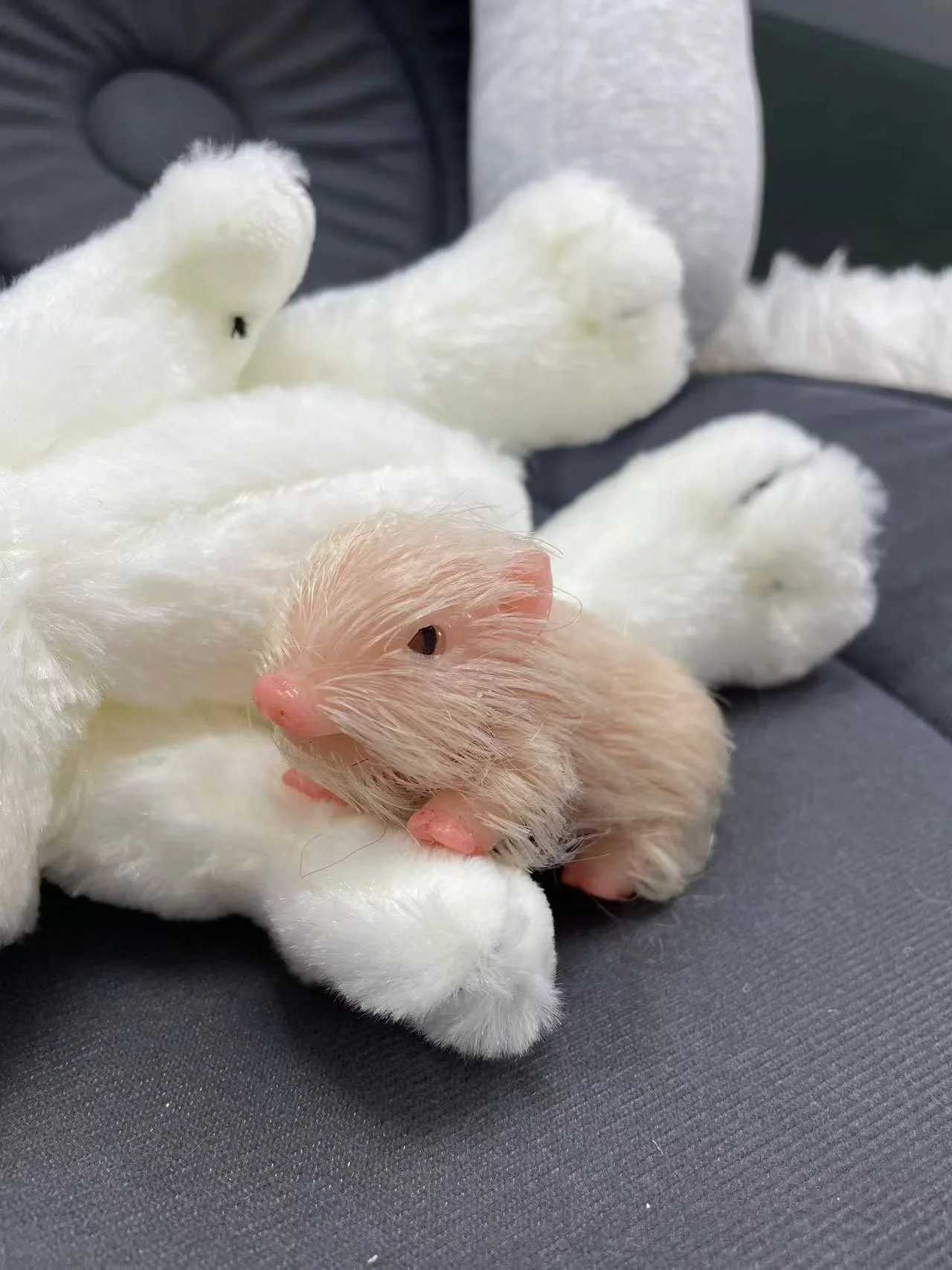 3 Reborn Dolls Full Body Silicone Piglet Dolls Cute Mini Pigs Doll Lifelike Newborn Baby Reborn Dolls Pig Toy Gift for Kids X250210