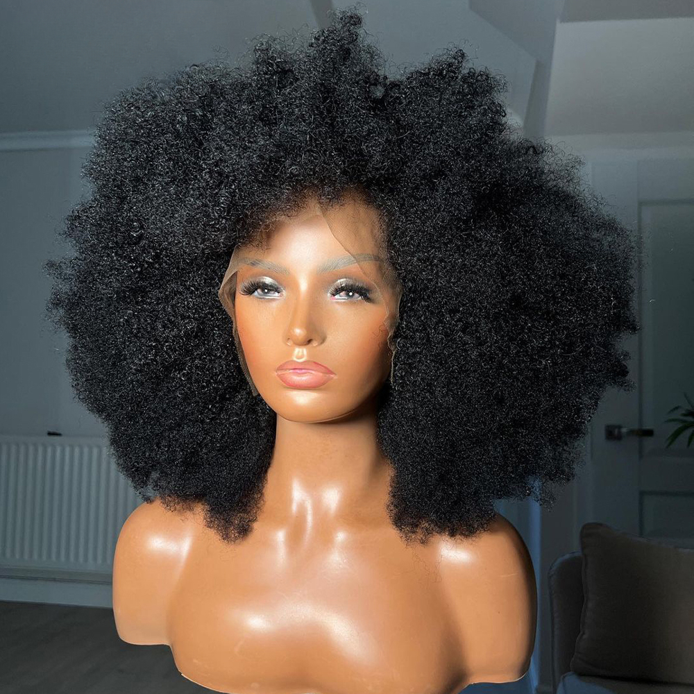 13x6 Lace Front Human Hair Wigs For Girls Afro Wig Kinky Curly Wig With Baby Hair Pre-Plucked Cheap Lace Front Wig Fluffy Full