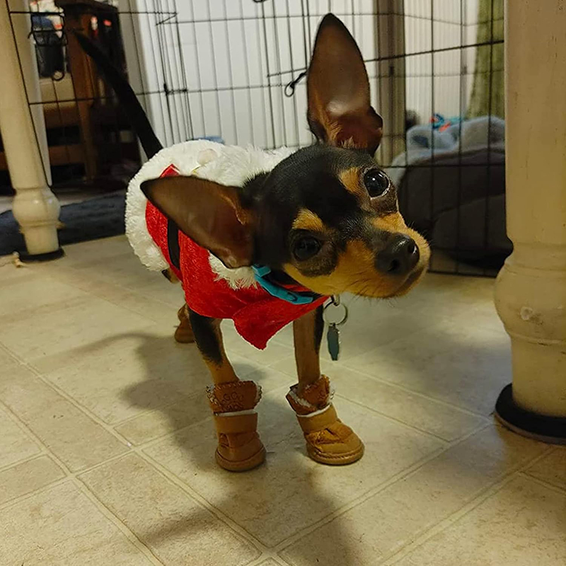 Dog Boots for Small Dogs, Anti-Slip Snow Boots, Paw Protectors, Chihuahua Booties for Winter, Tiny Cat Booties, Cat Shoes for Cold Weather 4 PCS-Set B