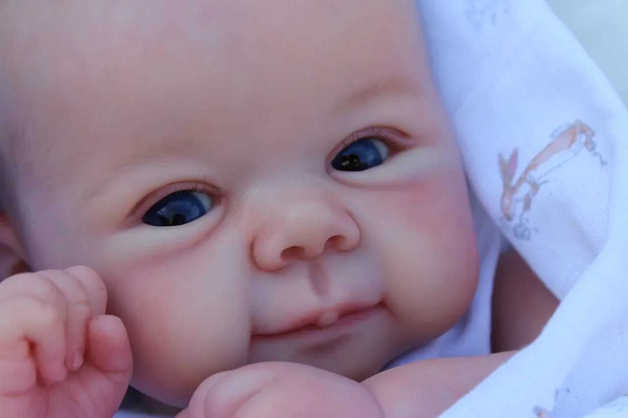 49CM Reborn Baby Dolls Sweet Face Lifelike Real Touch Reborn Juliette 3D Skin Multiple Layers with Hand-Painted Hair Baby Doll X2502101