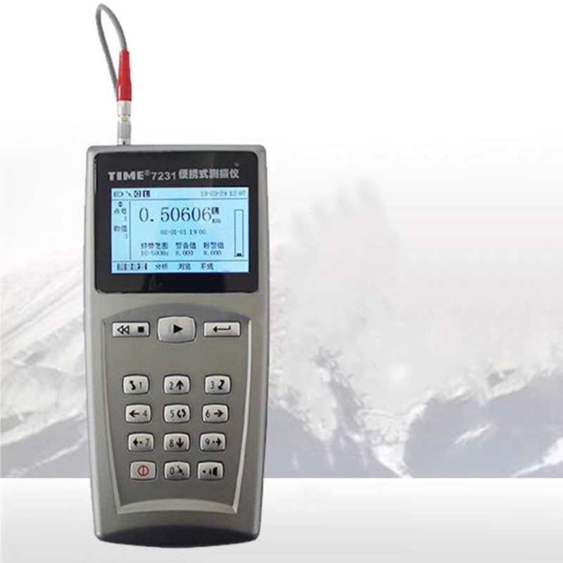 Professional Grade Vibrometer - Compact Design for Easy Handling