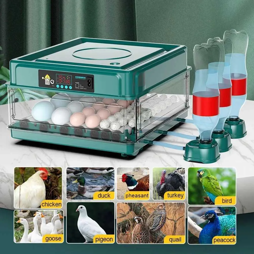 Incubators Automatic Turning Hatching Brooder Farm Bird Quail Chicken Poultry Farm Hatcher Turner Incubation Tool 6/12 Eggs Incubator Fully H241115