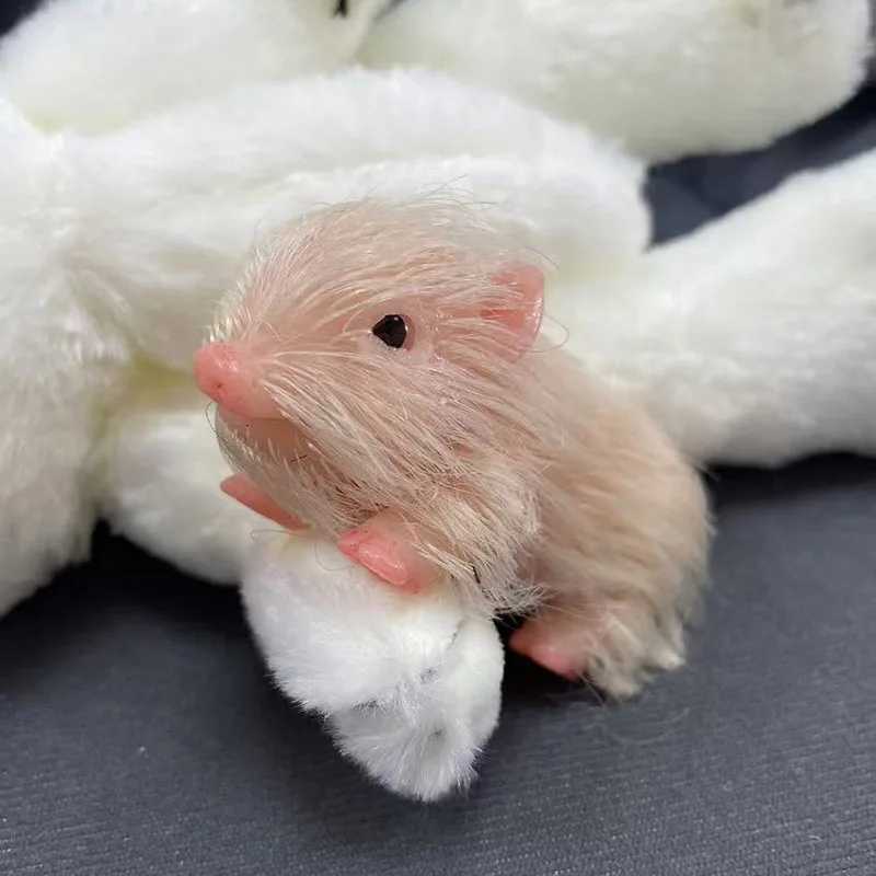 3 Reborn Dolls Full Body Silicone Piglet Dolls Cute Mini Pigs Doll Lifelike Newborn Baby Reborn Dolls Pig Toy Gift for Kids X250210