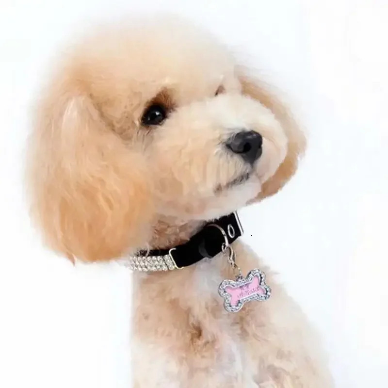2026 New Personalized Bone Shape Pets ID Name Tag Address Pendant Dog Puppy Collar Pink Anti-Lost Card Pet Accessories