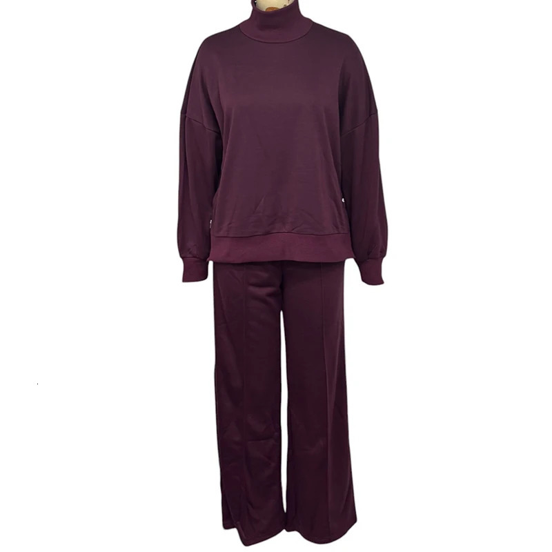 Wefads Two Piece Set Women Autumn Winter est Solid Long Sleeve Turtleneck Pullover Top Loose Pants Sets High Streetwear 250207